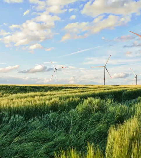 Energías renovables para empresas